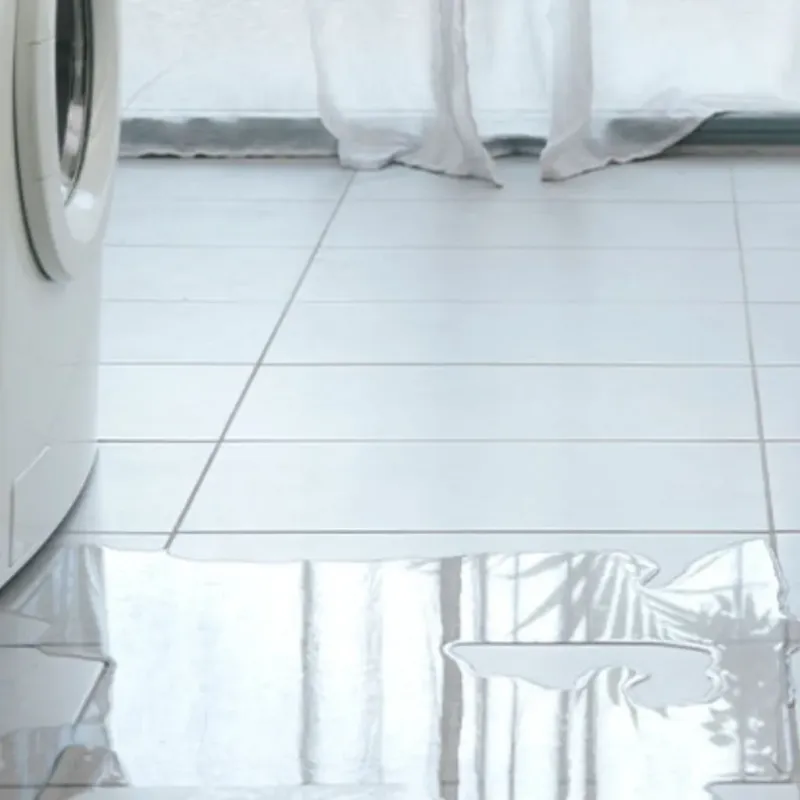 Appliance Leak Cleanup in Bushnell, FL