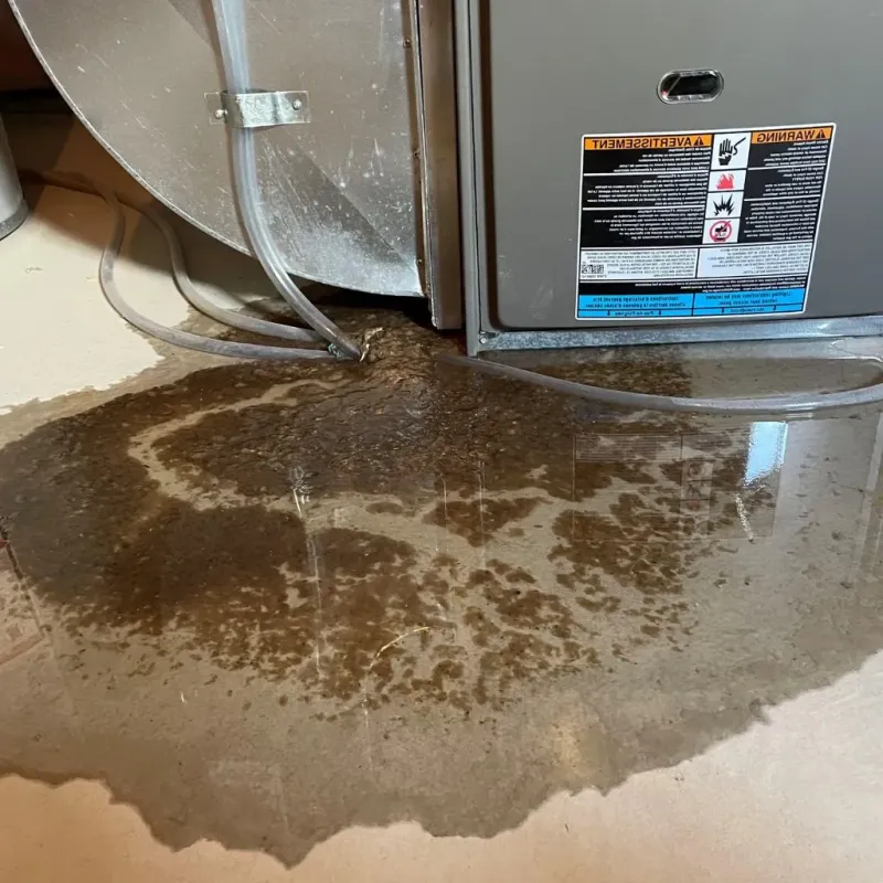 Pipe Burst and Leak Restoration in Bushnell, FL