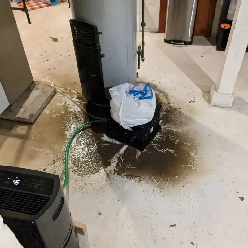 Sewage Backup Cleanup Service in Bushnell, FL